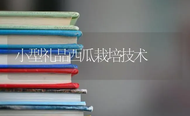 小型礼品西瓜栽培技术 | 瓜果种植