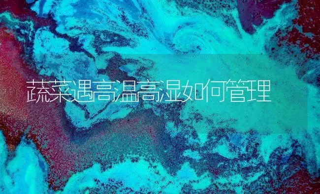 蔬菜遇高温高湿如何管理 | 蔬菜种植