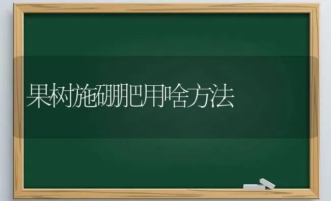 果树施硼肥用啥方法 | 瓜果种植