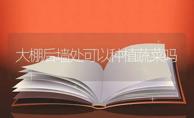 大棚后墙处可以种植蔬菜吗 | 蔬菜种植