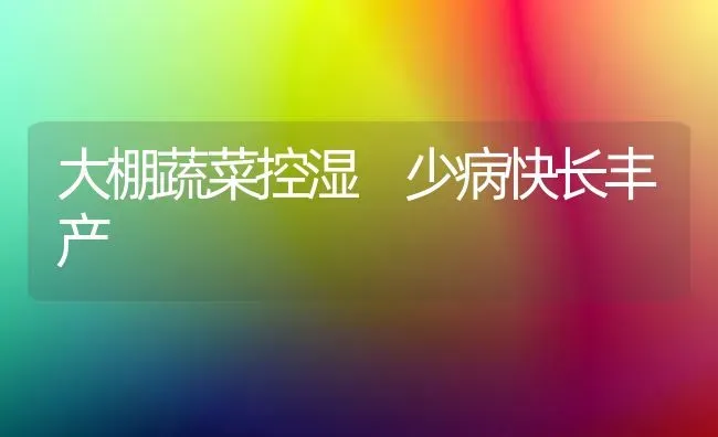 大棚蔬菜控湿 少病快长丰产 | 蔬菜种植