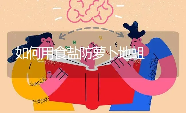 如何用食盐防萝卜地蛆 | 蔬菜种植
