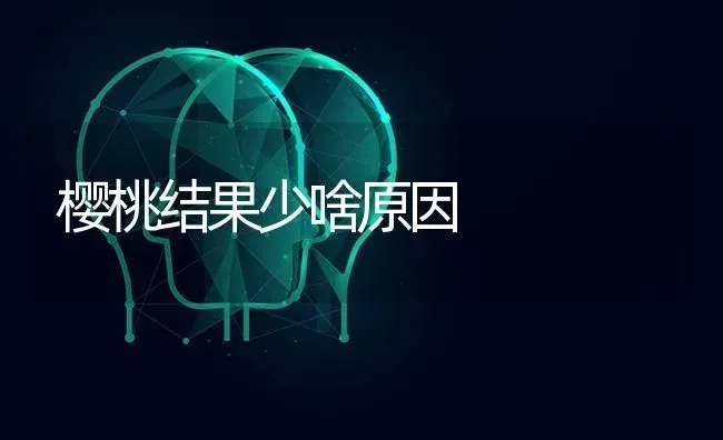 樱桃结果少啥原因 | 瓜果种植