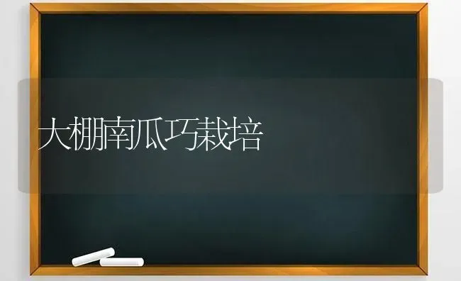 大棚南瓜巧栽培 | 蔬菜种植
