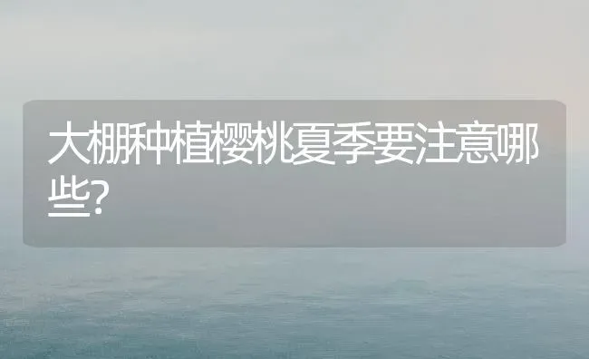 大棚种植樱桃夏季要注意哪些？ | 植物种植百科