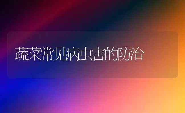 蔬菜常见病虫害的防治 | 蔬菜种植