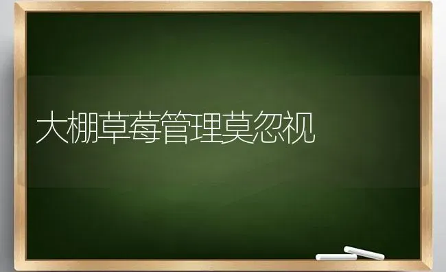 大棚草莓管理莫忽视 | 瓜果种植