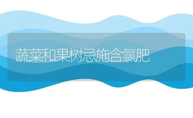 蔬菜和果树忌施含氯肥 | 蔬菜种植
