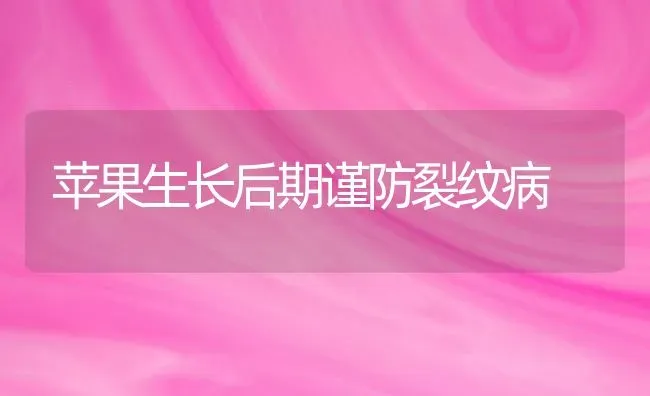 苹果生长后期谨防裂纹病 | 瓜果种植