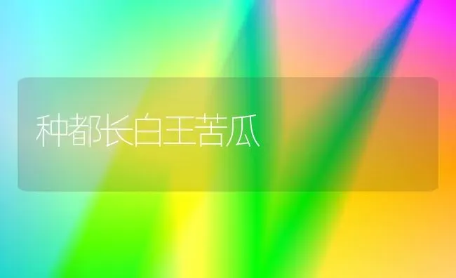 种都长白王苦瓜 | 蔬菜种植