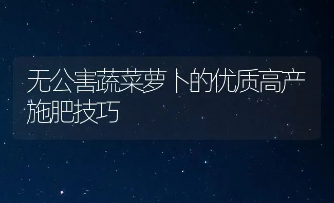 无公害蔬菜萝卜的优质高产施肥技巧 | 蔬菜种植