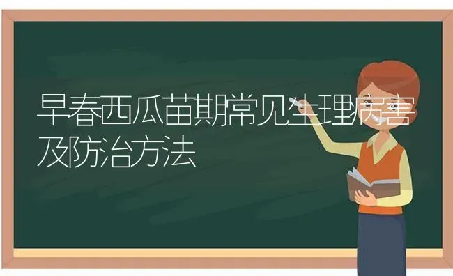 早春西瓜苗期常见生理病害及防治方法 | 瓜果种植