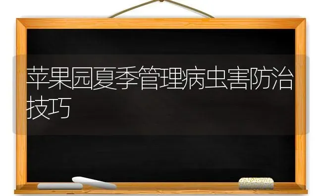 苹果园夏季管理病虫害防治技巧 | 瓜果种植