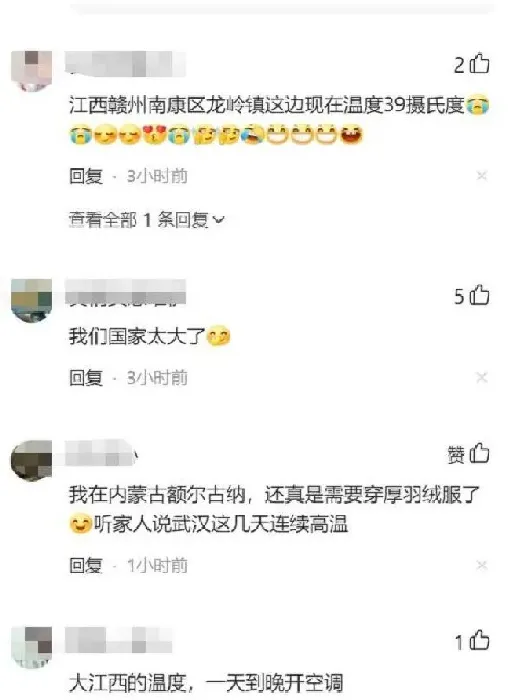 冬天植物|黑龙江漠河下雪了 你是不是还在吹空调