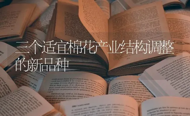 三个适宜棉花产业结构调整的新品种 | 粮油作物种植