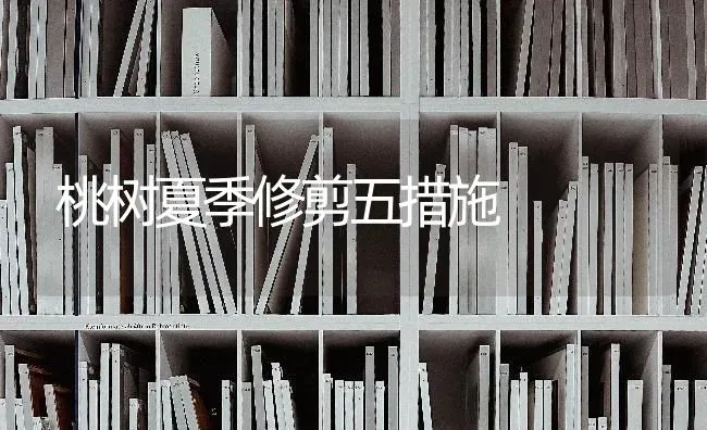 从底肥到移栽 大棚蔬菜需要注意的问题 | 蔬菜种植