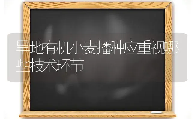 旱地有机小麦播种应重视哪些技术环节 | 粮油作物种植