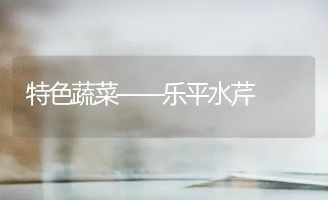 特色蔬菜——乐平水芹 | 蔬菜种植