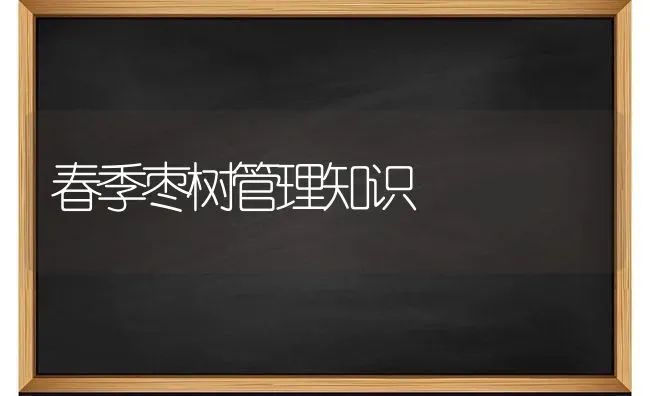 春季枣树管理知识 | 瓜果种植