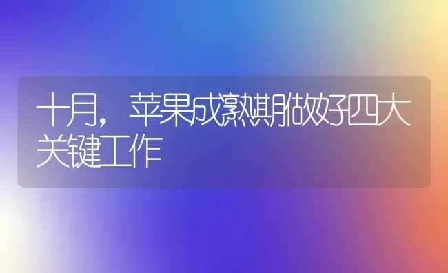 十月，苹果成熟期做好四大关键工作 | 瓜果种植