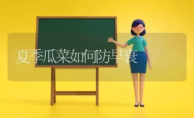 夏季瓜菜如何防早衰 | 蔬菜种植