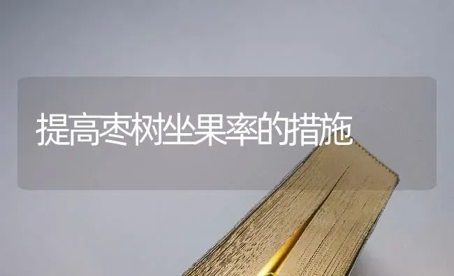 提高枣树坐果率的措施 | 瓜果种植