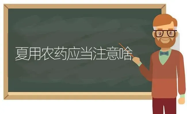 夏用农药应当注意啥 | 种植病虫害防治