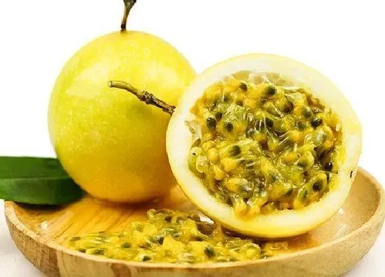 果实之最|十大减肥水果排行榜 适合减肥吃的水果排名