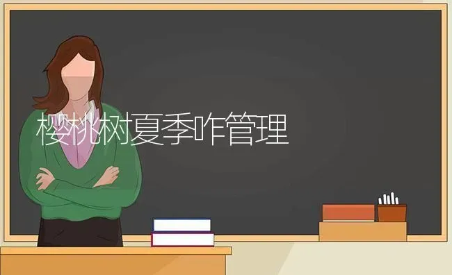 樱桃树夏季咋管理 | 瓜果种植