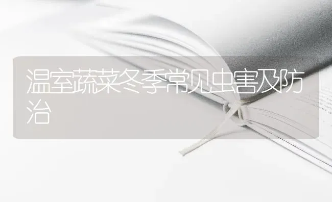 温室蔬菜冬季常见虫害及防治 | 蔬菜种植