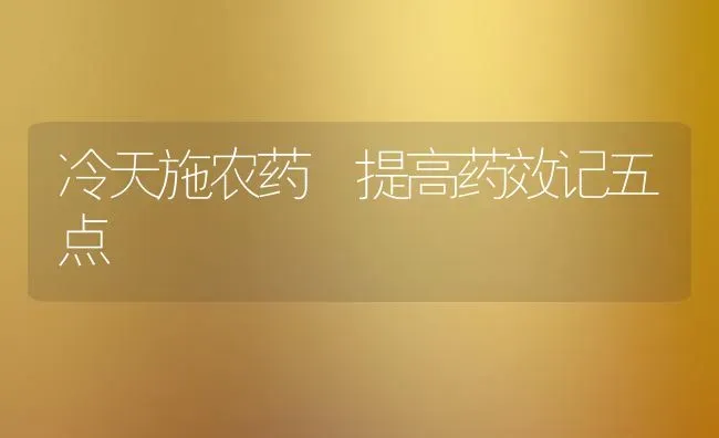 冷天施农药 提高药效记五点 | 种植病虫害防治