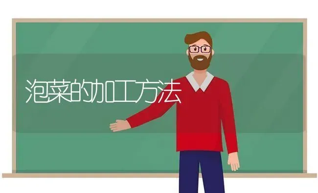 泡菜的加工方法 | 蔬菜种植