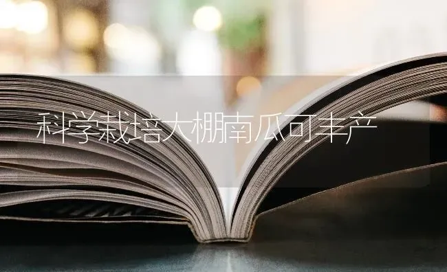 科学栽培大棚南瓜可丰产 | 蔬菜种植