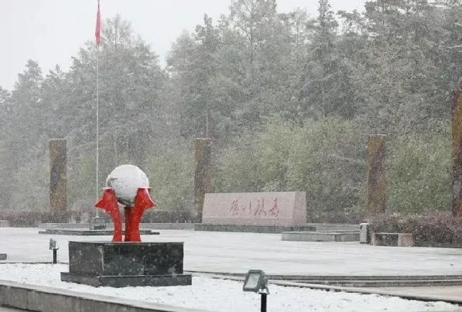 冬天植物|黑龙江漠河下雪了 你是不是还在吹空调