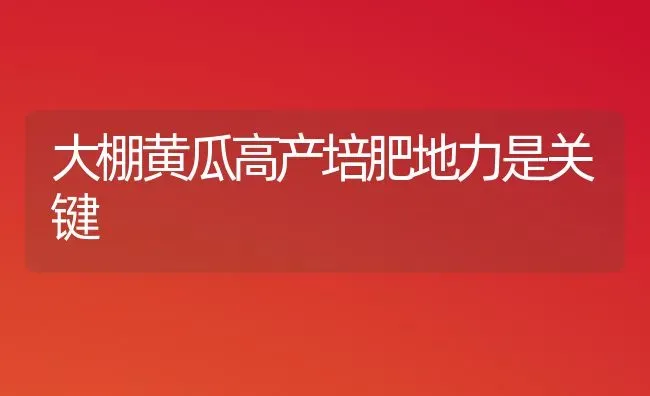 大棚黄瓜高产培肥地力是关键 | 蔬菜种植