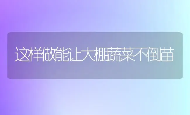 蒙城县2021年小麦早春田管技术意见 | 粮油作物种植