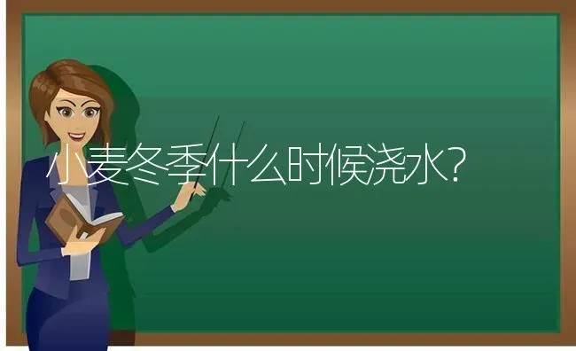 小麦冬季什么时候浇水？ | 粮油作物种植