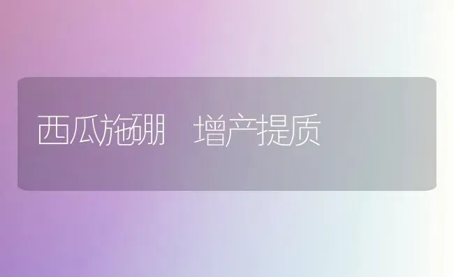 西瓜施硼 增产提质 | 瓜果种植