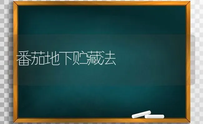 胡萝卜制成果丹皮 营养又美味 | 瓜果种植