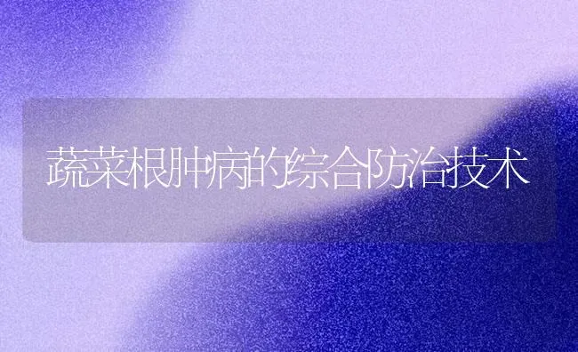 蔬菜根肿病的综合防治技术 | 蔬菜种植