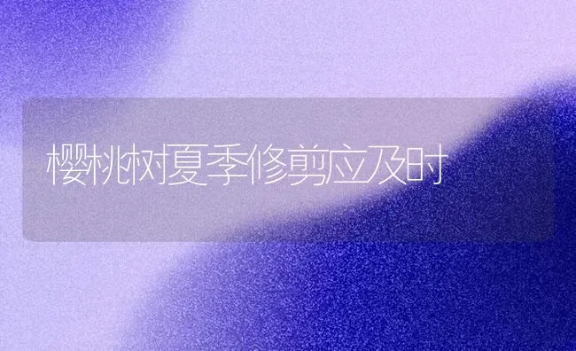 樱桃树夏季修剪应及时 | 瓜果种植