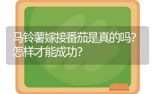 马铃薯嫁接番茄是真的吗？怎样才能成功？ | 粮油作物种植