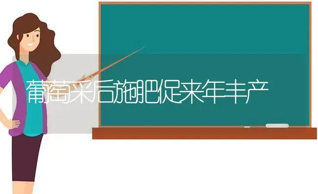 葡萄采后施肥促来年丰产 | 种植肥料施肥