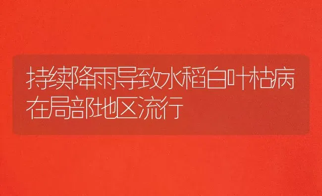 持续降雨导致水稻白叶枯病在局部地区流行 | 粮油作物种植
