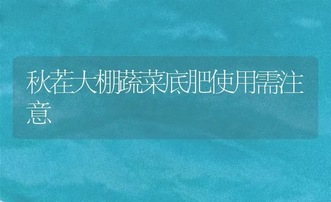 秋茬大棚蔬菜底肥使用需注意 | 蔬菜种植