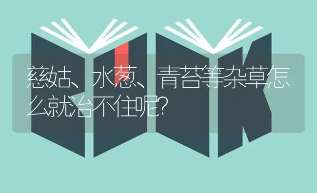 水稻早衰的原因及防治措施 | 粮油作物种植