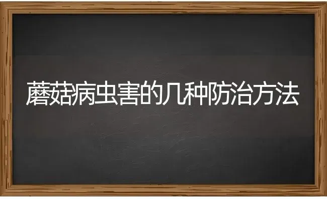 蘑菇病虫害的几种防治方法 | 食用菌种植
