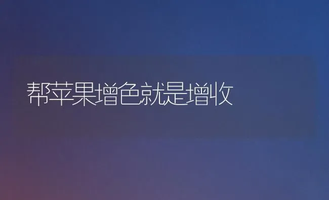 帮苹果增色就是增收 | 瓜果种植