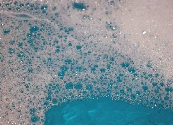 植物浇水|洗衣水能浇花吗 洗衣水浇花方法