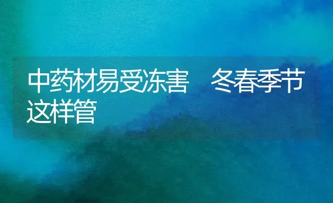 中药材易受冻害 冬春季节这样管 | 药材种植